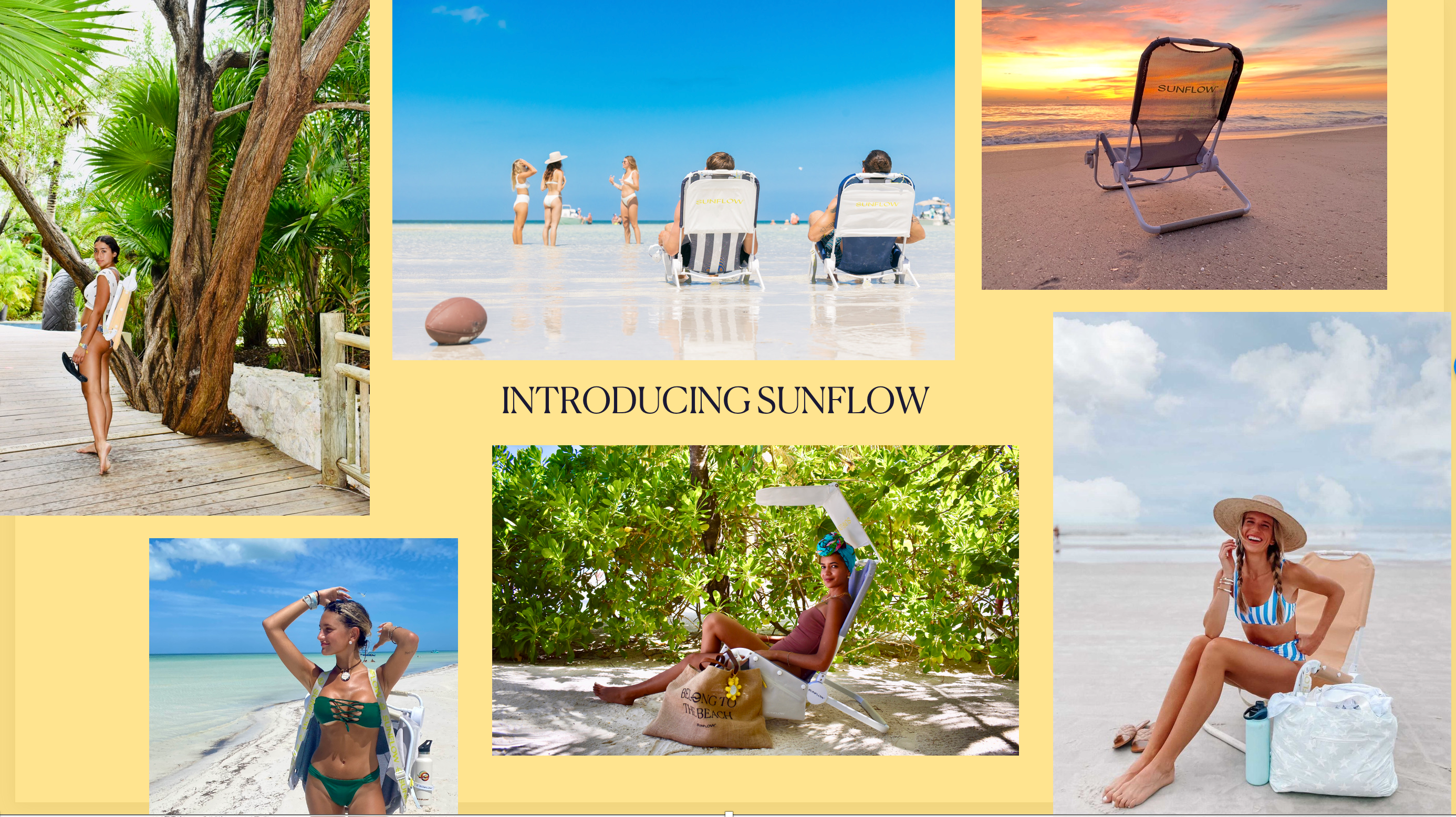 INTRODUCING SUNFLOW 417