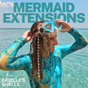 Brielle's Shells 672