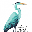 Teal Heron 751