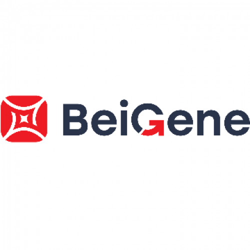 BeiGene 28