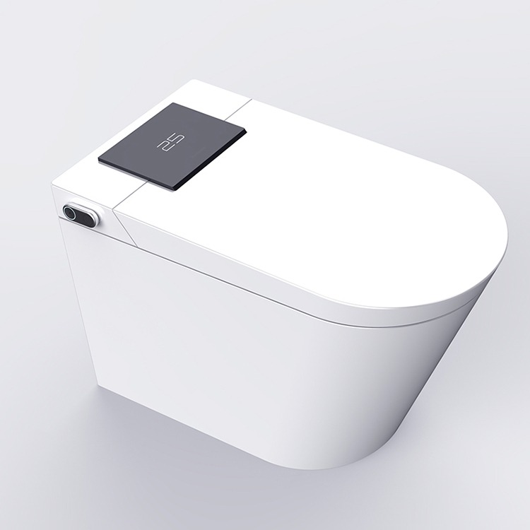 Premium Bidet Toilet Dealer Wanted across USA 177