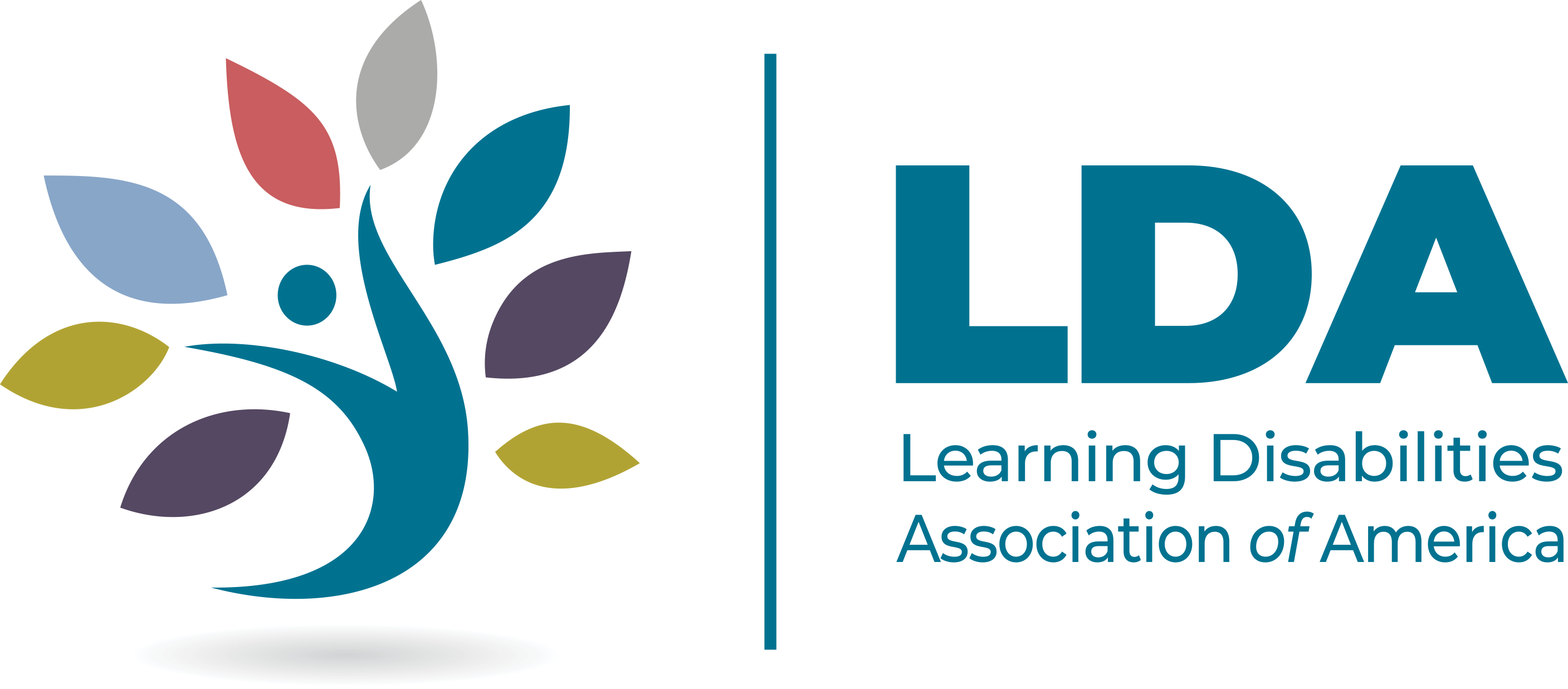 LDA Members-Only Community