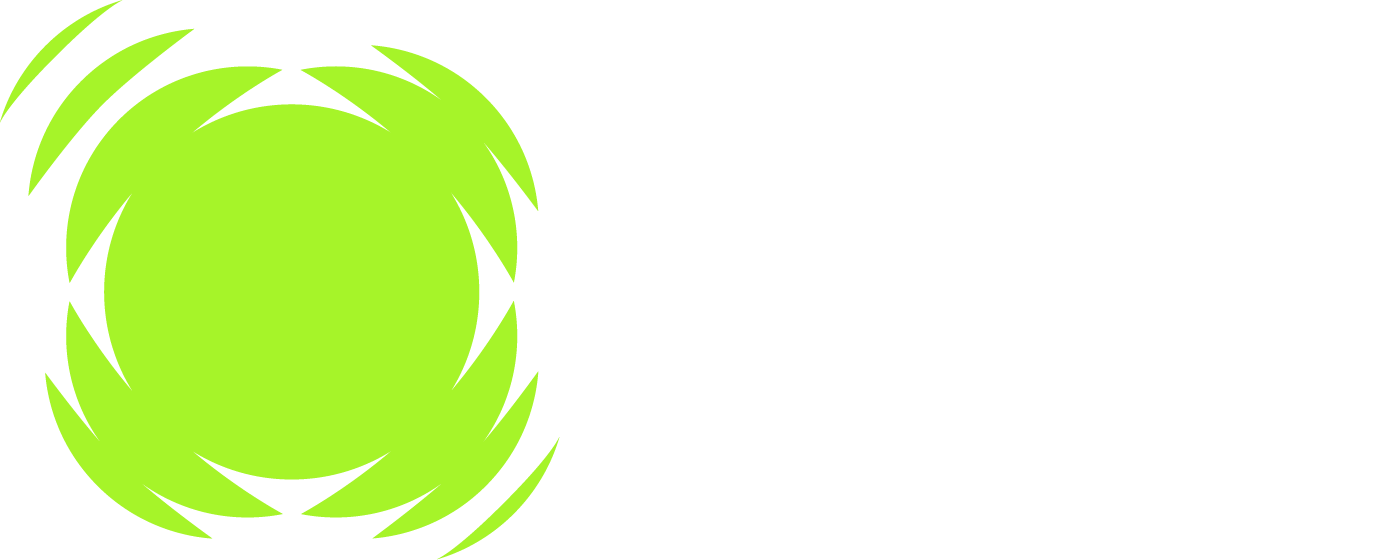LDI 2025