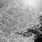 Explore Physics with Tensegrity 231