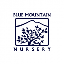 Blue Mountain Nursery, LLC 746