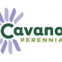 Cavano's Perennials, Inc. 76