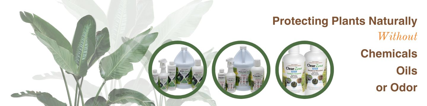 Environmental Plant Management, Inc. (EPM) 952