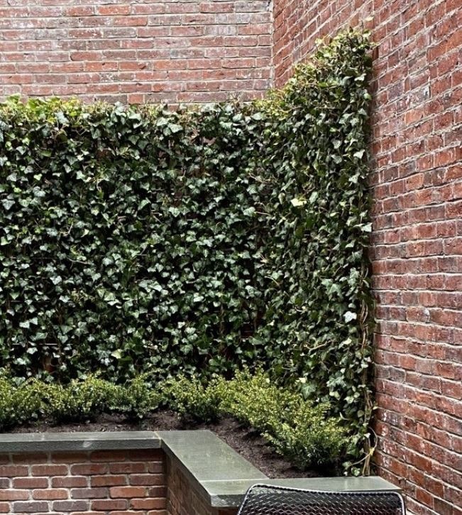 Green Living Fence SPRING SALE 211