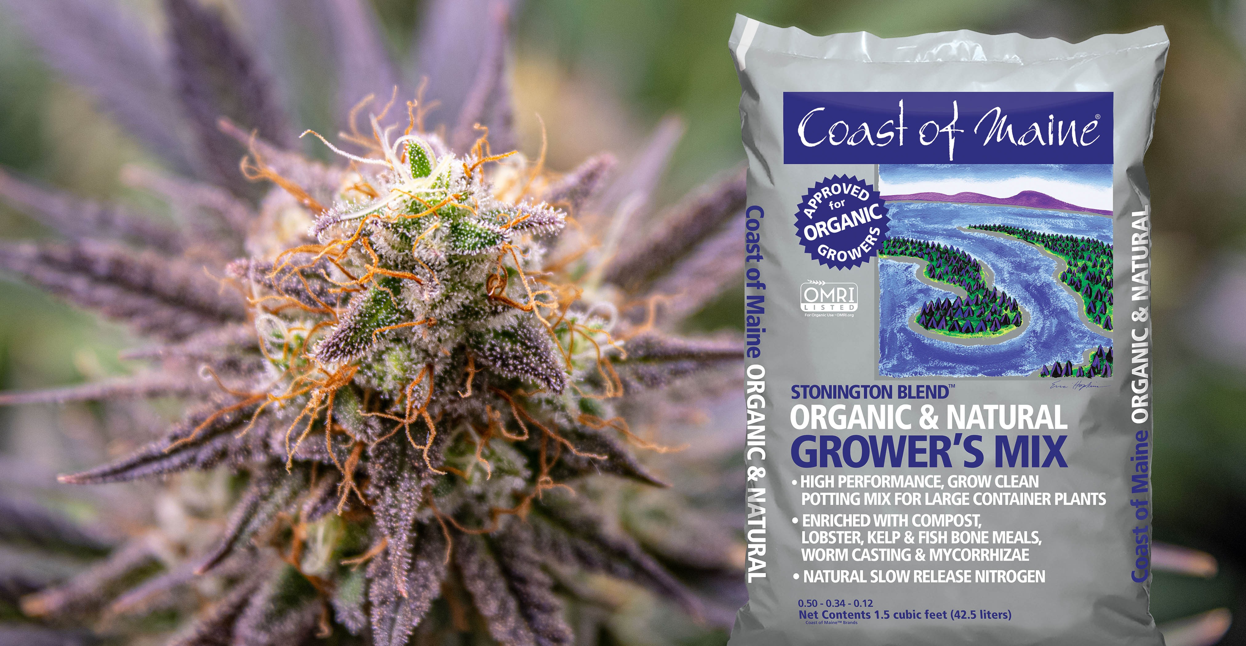 Coast of Maine - Stonington Blend Organic & Natural Grower's Mix 236