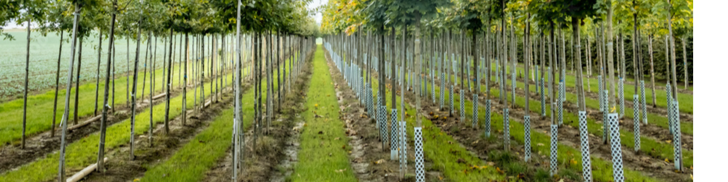 BDi Machinery Sales Inc. 42