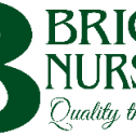 Briggs Nursery 550