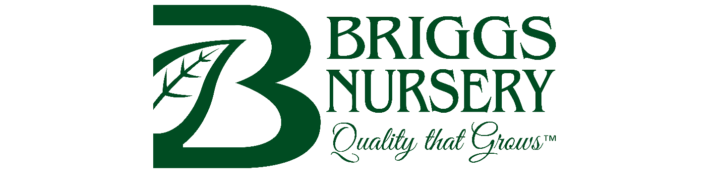 Briggs Nursery 550