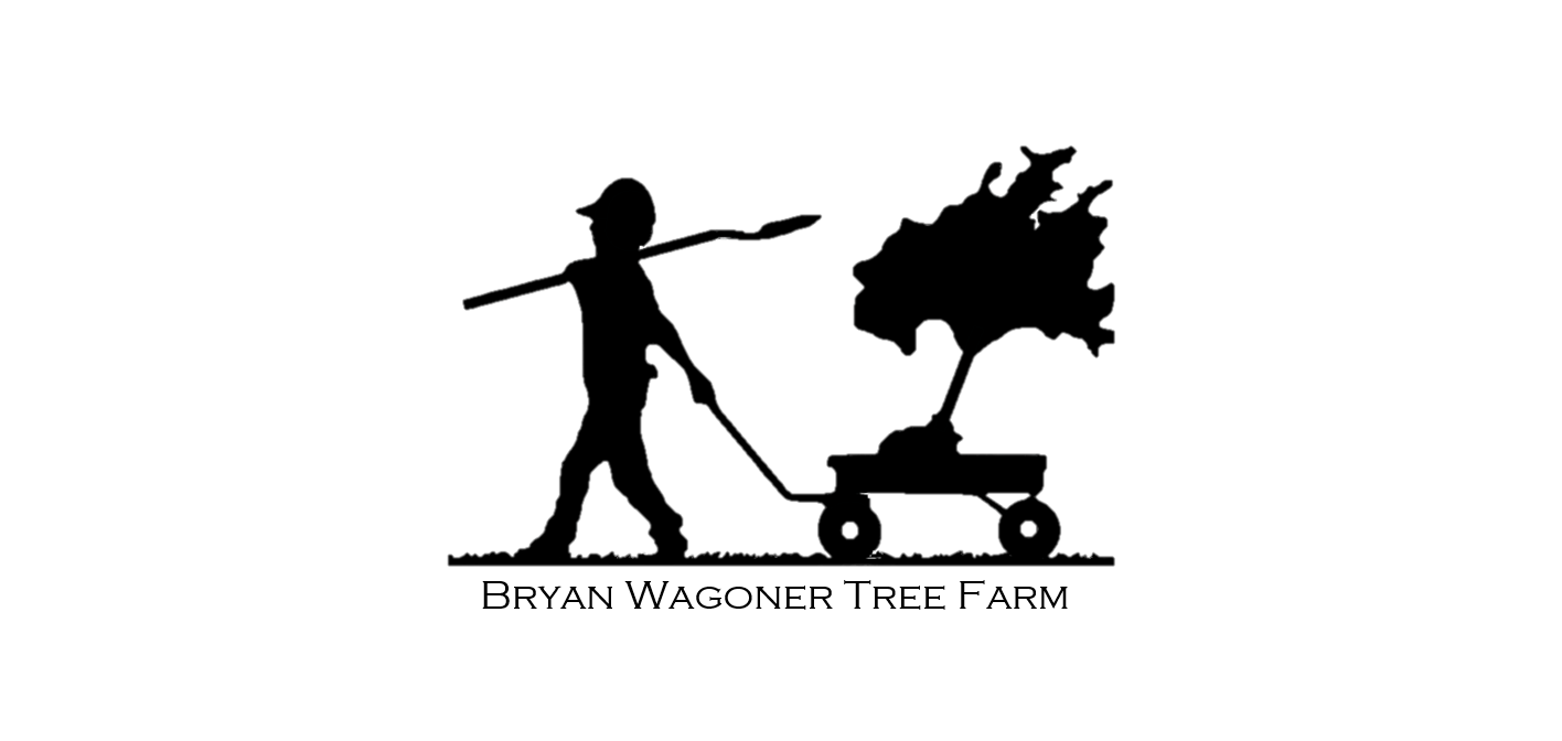 Bryan Wagoner Tree Farm- 2024/2025 Catalog 118