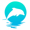 Island Pearl Traders 1087