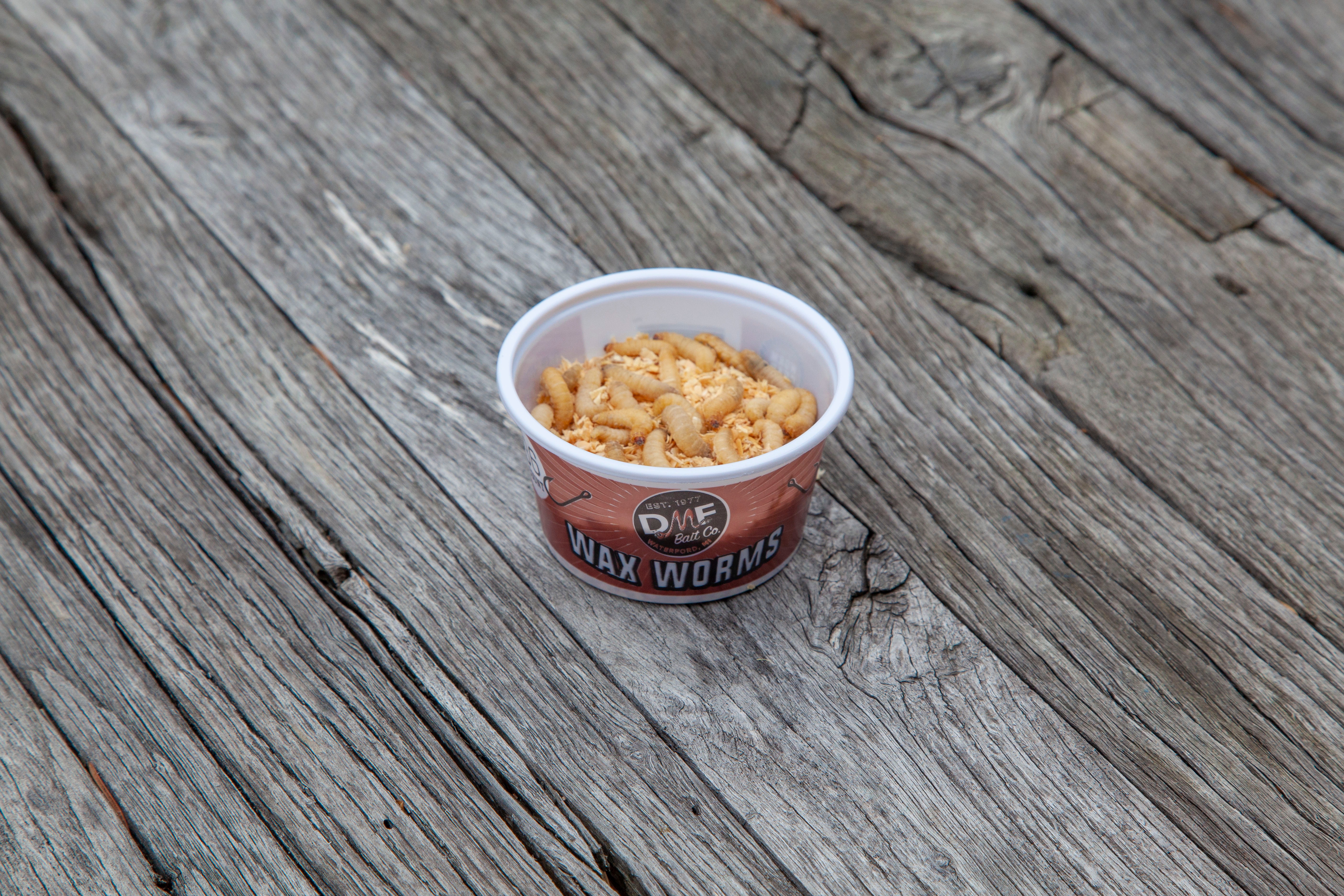Wax Worms 450