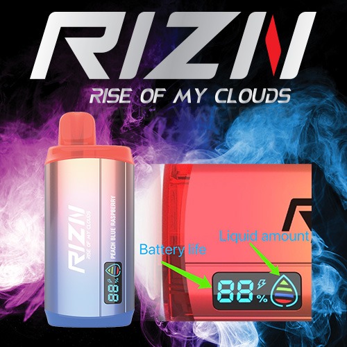 RIZN Disposable Vape 831