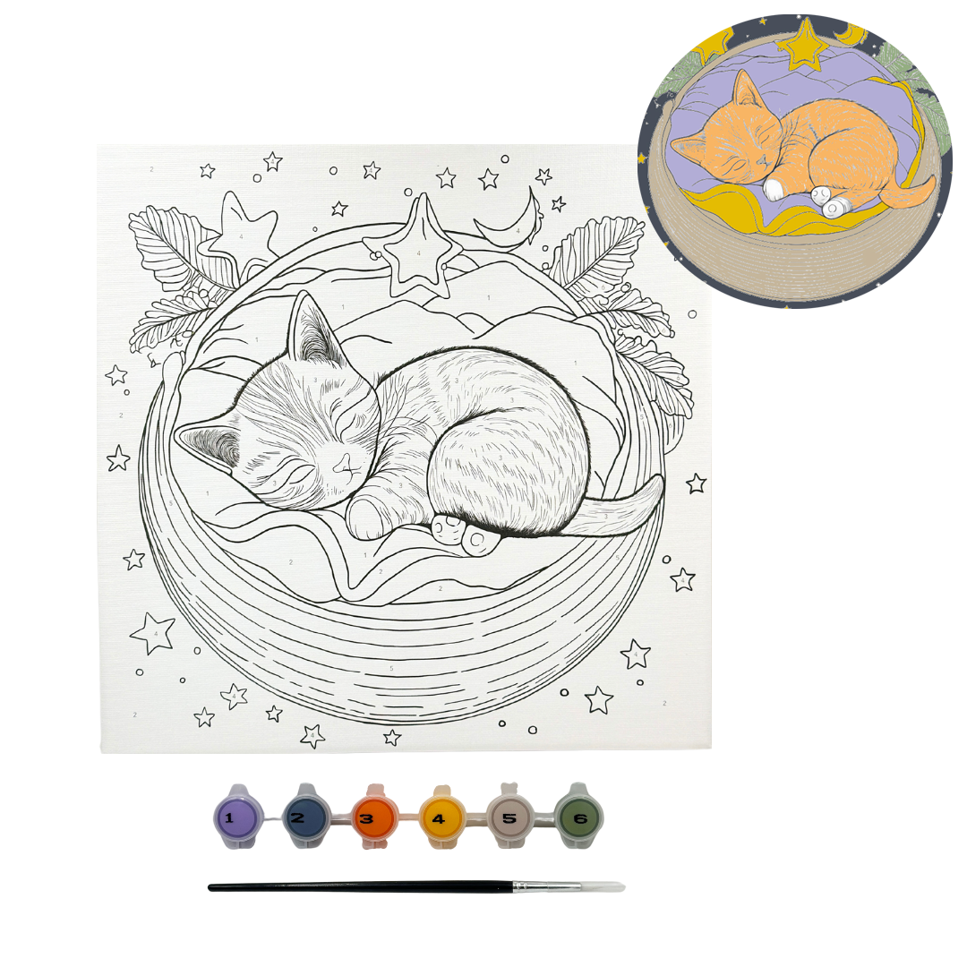 Paint by Number Sets 1028
