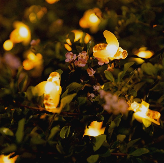 Perfect Holiday 30 LED Solar String Light Bee - Warm White 715