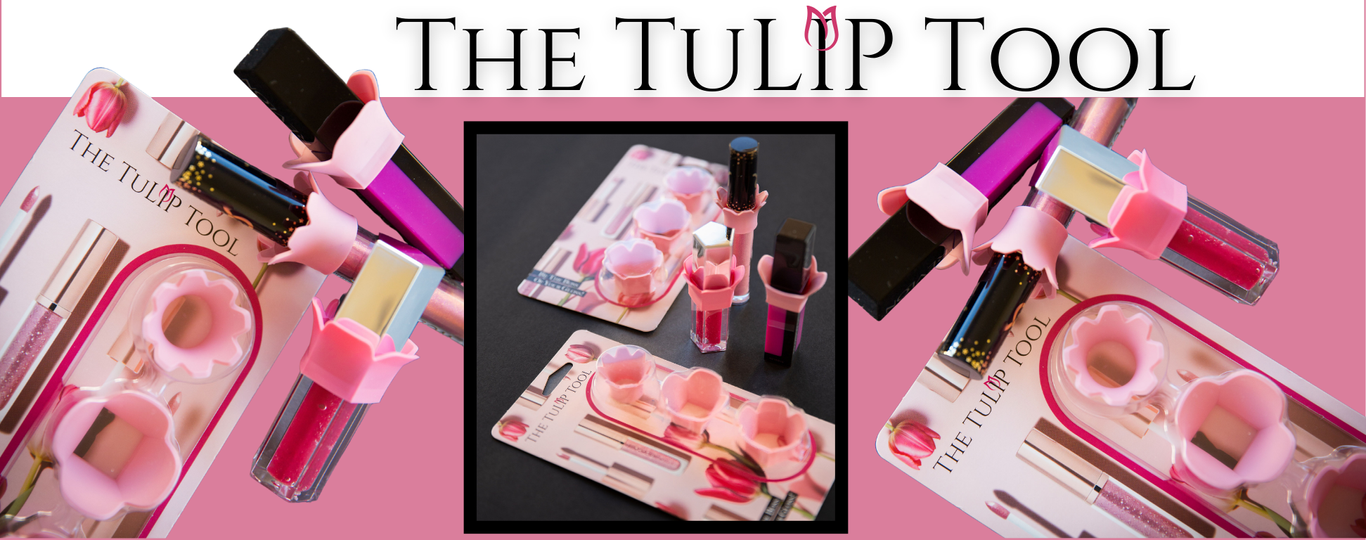 The TuLIP Tool 810