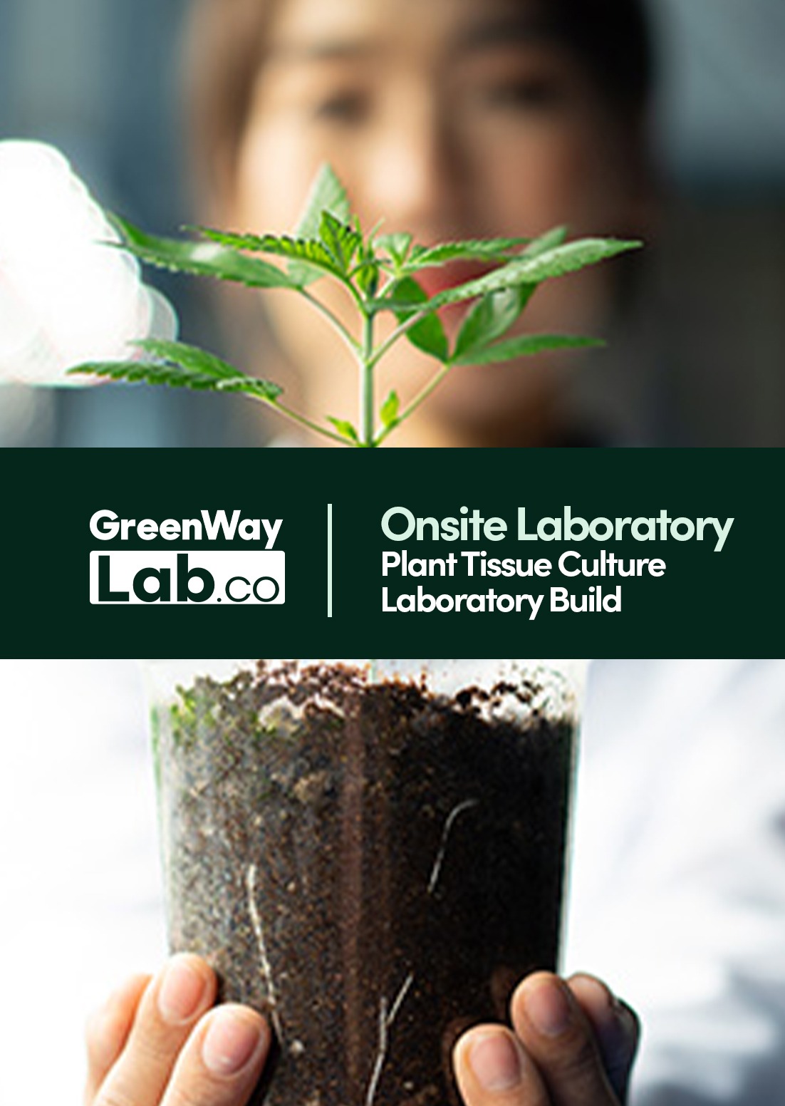 Onsite Tissue Culture Laboratory 559