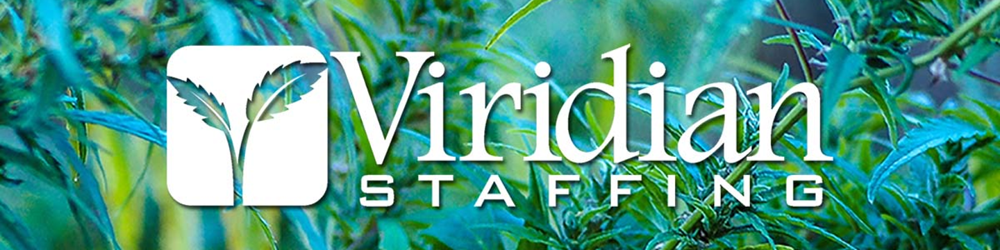 Viridian Staffing 145