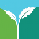 Viridian Staffing 145