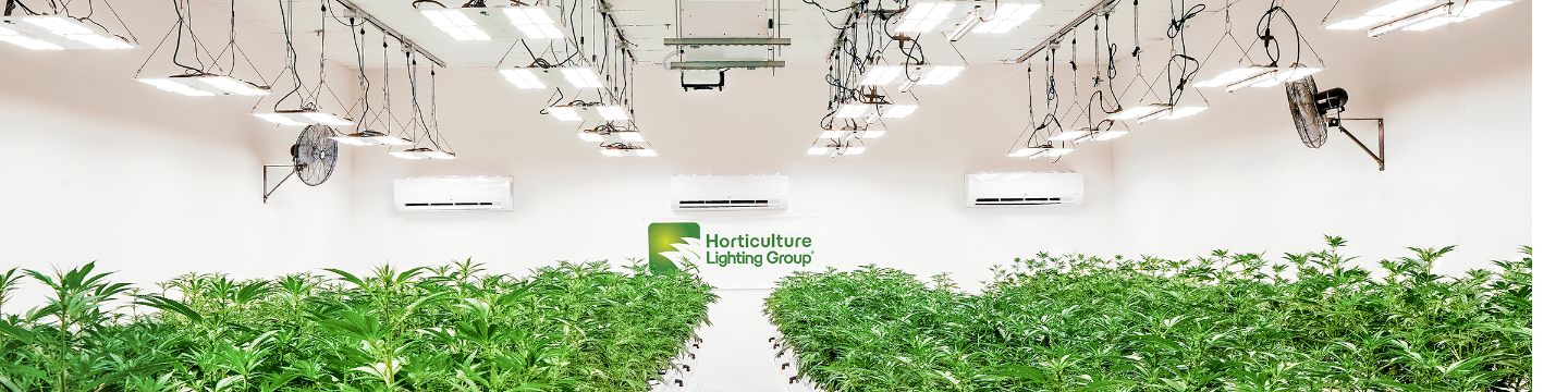 Horticulture Lighting Group 404
