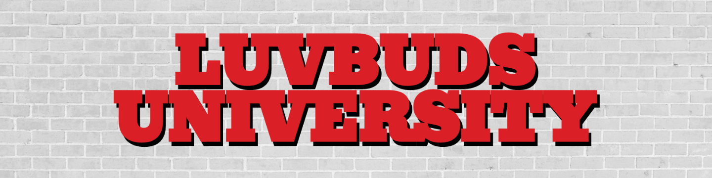 LuvBuds, LLC 55