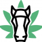 Dark Horse CPA 610