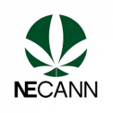 NECANN 623