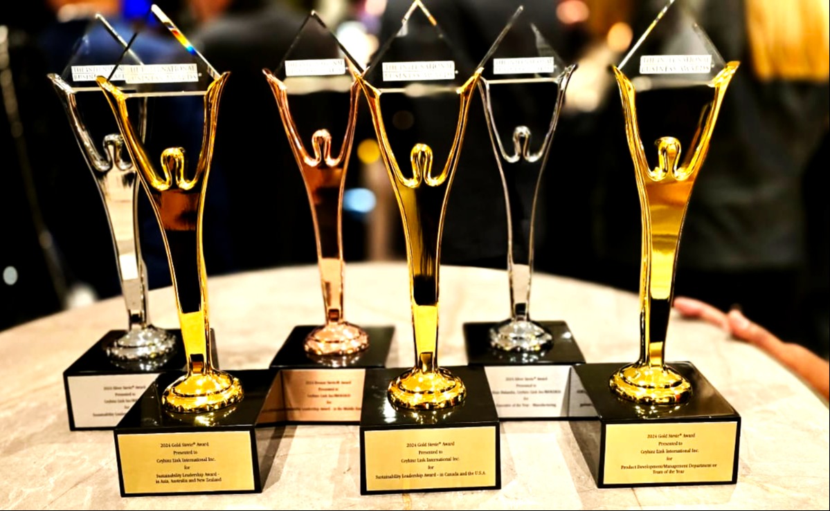 RIOCOCO Triumphs on the Global Stage at the Stevie International Business Awards 299