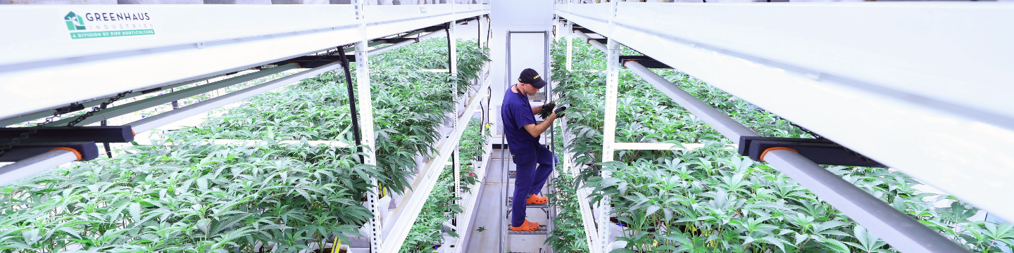 Pipp Horticulture/GGS Structures 32