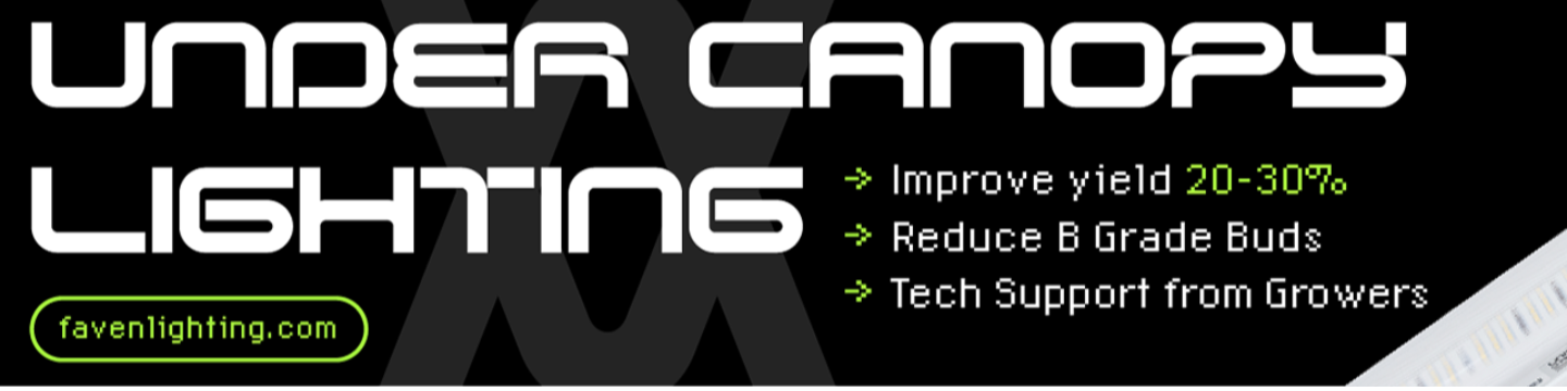 Faven Lighting Company 386