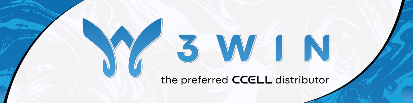 3WIN CORP 40