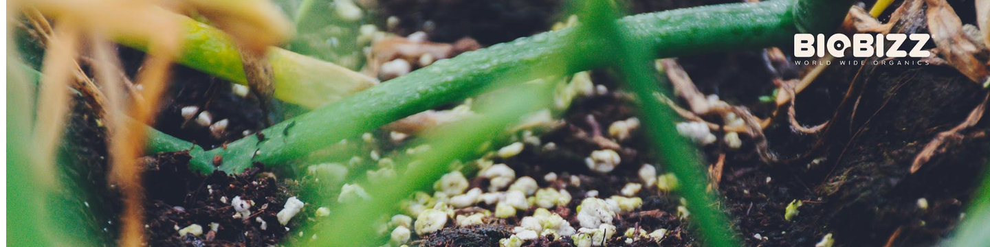 Biobizz World Wide Organics 497