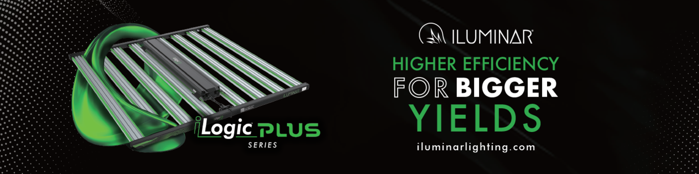 ILUMINAR Lighting 591