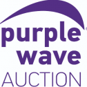 Purple Wave Auction 24