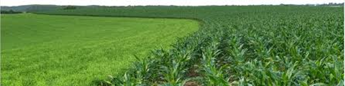 Monty's Plant Food Co., Inc. 169