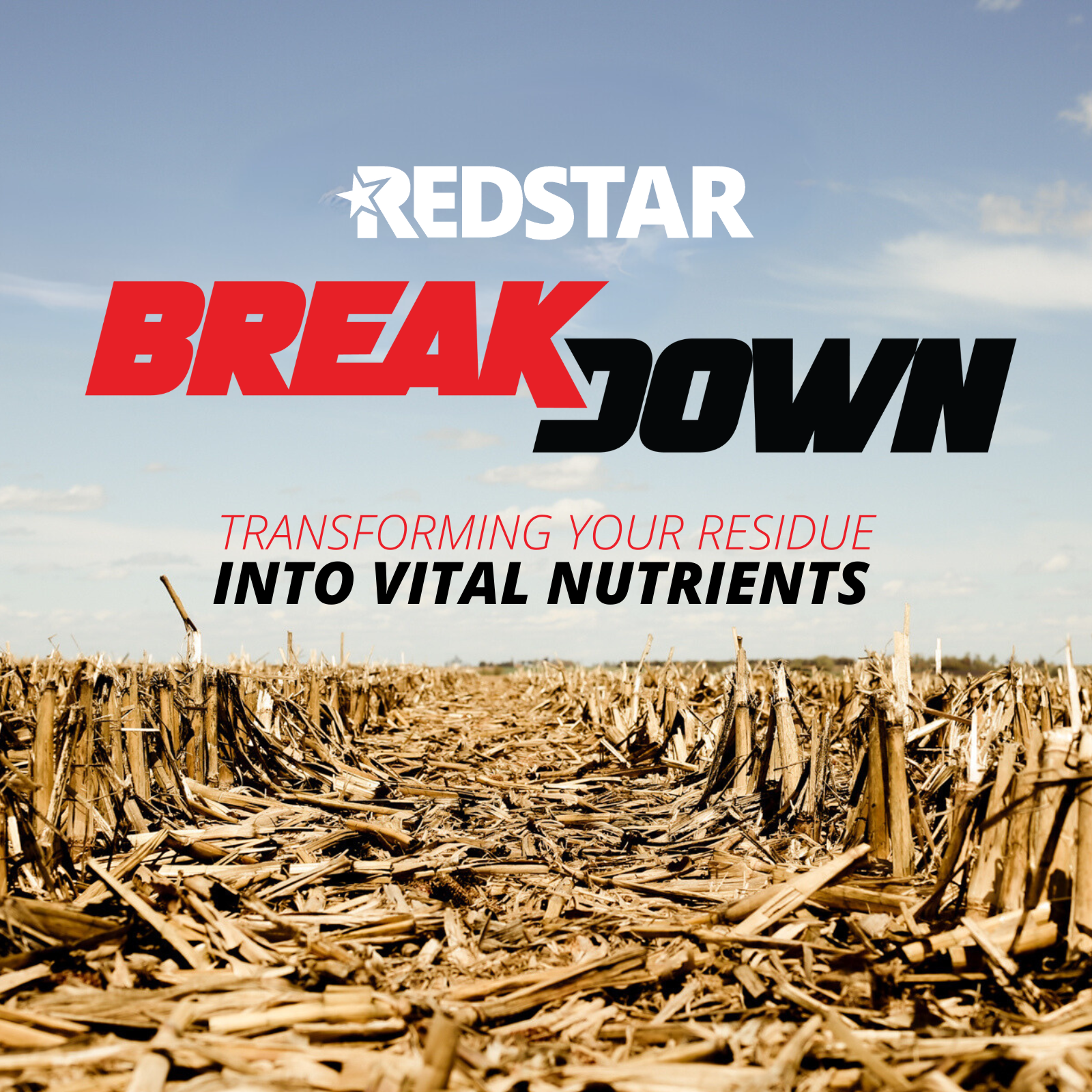 REDSTAR BREAKDOWN 1004