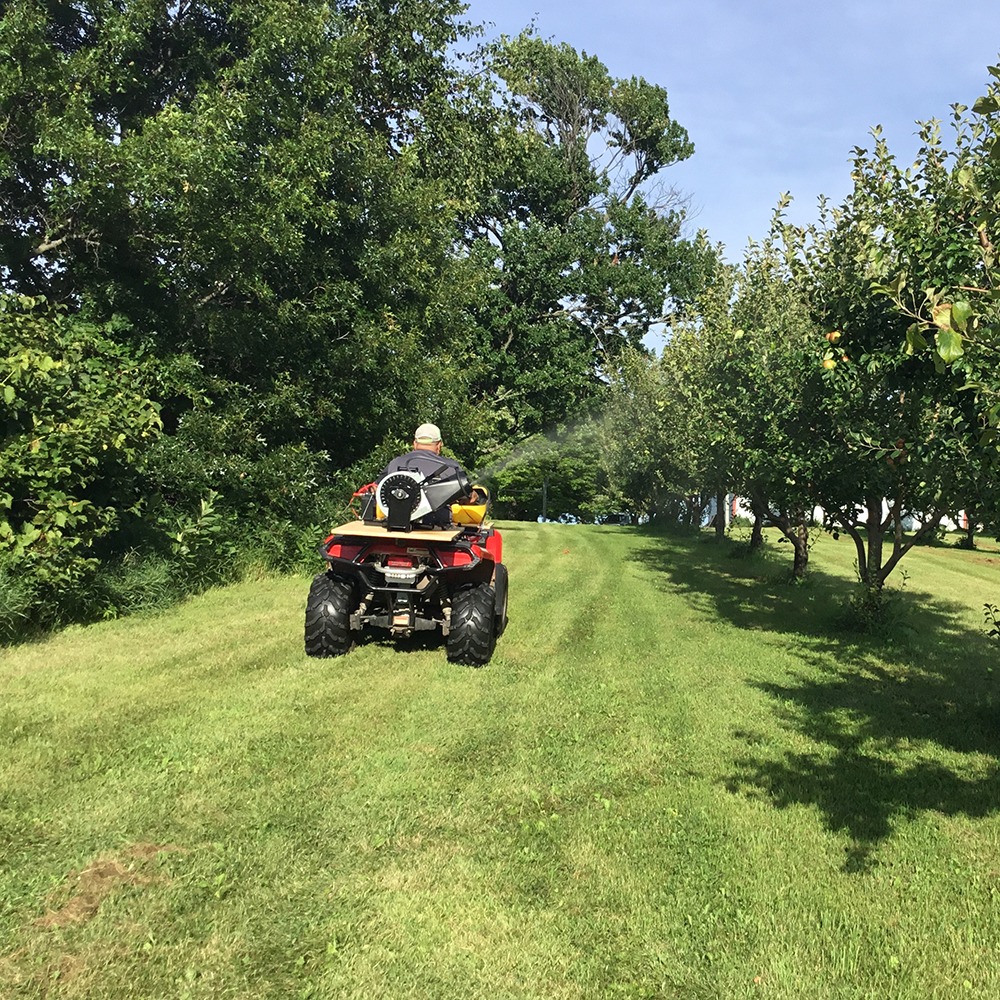 The Boss Mist Sprayer, No Tank 1067