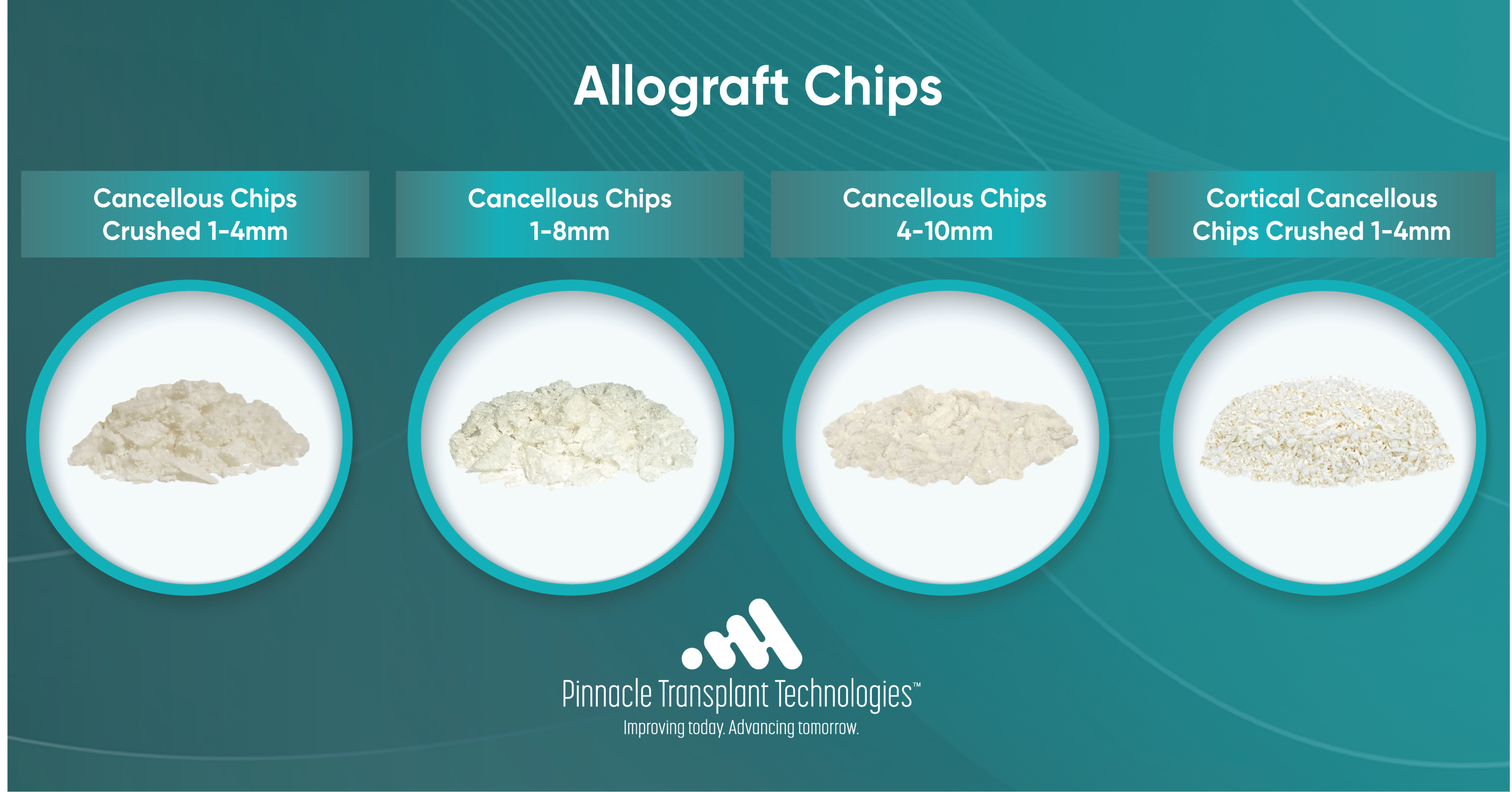 Allograft Chips 108