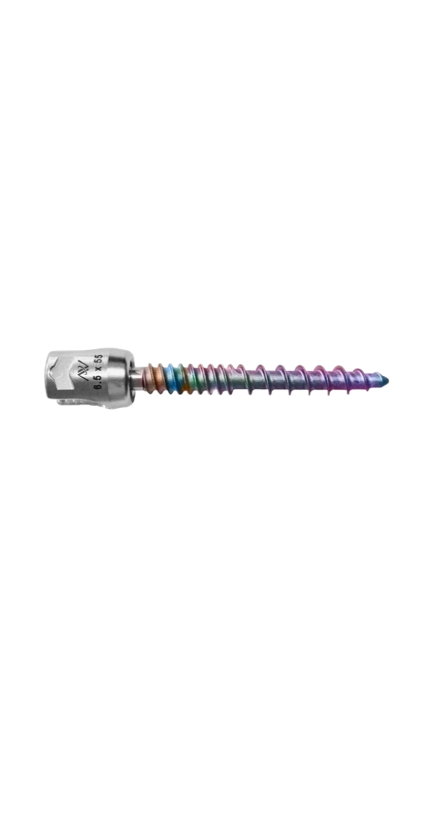 Nanotechnology Enhanced FortiFix® Pedicle Screw System 177