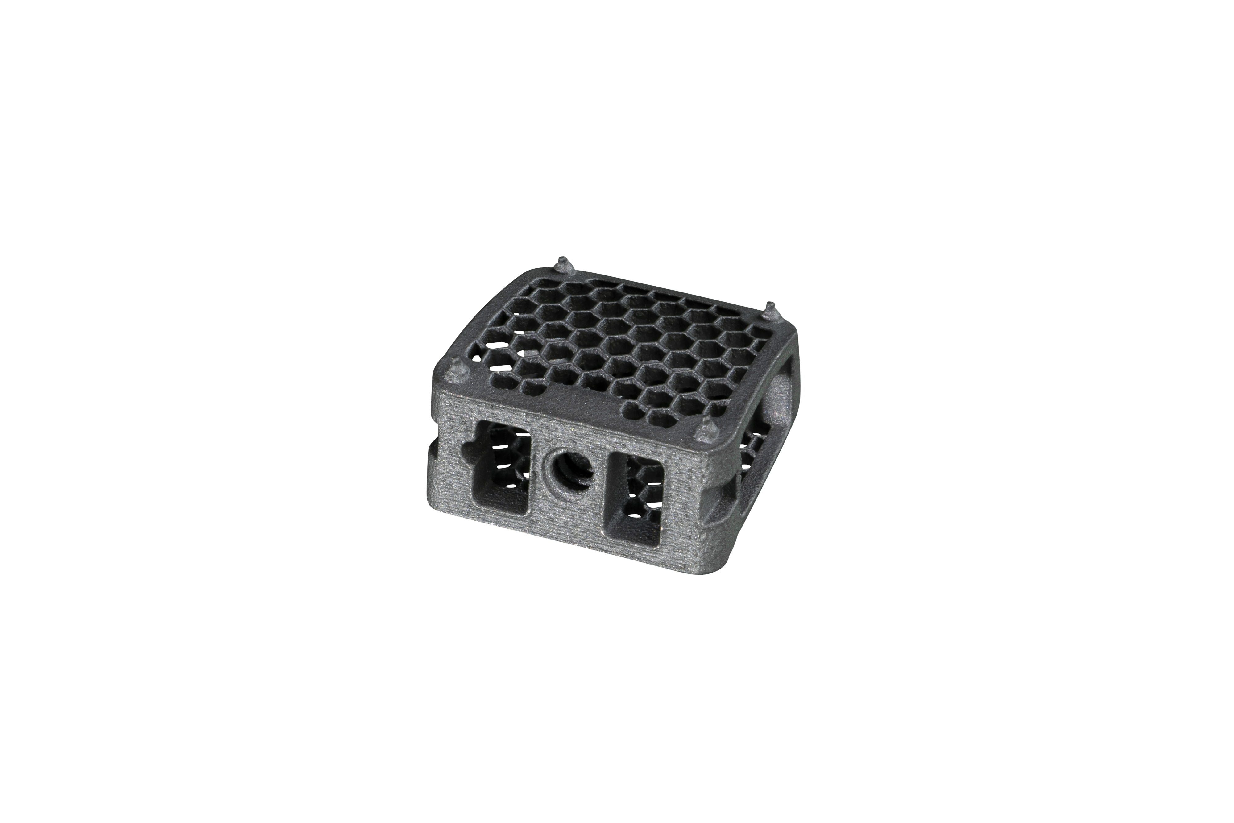 BEE® 3D Ti-Cage 140