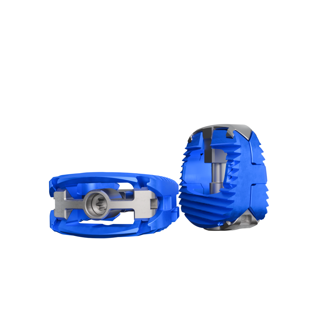 Expandable ALIF cage 146
