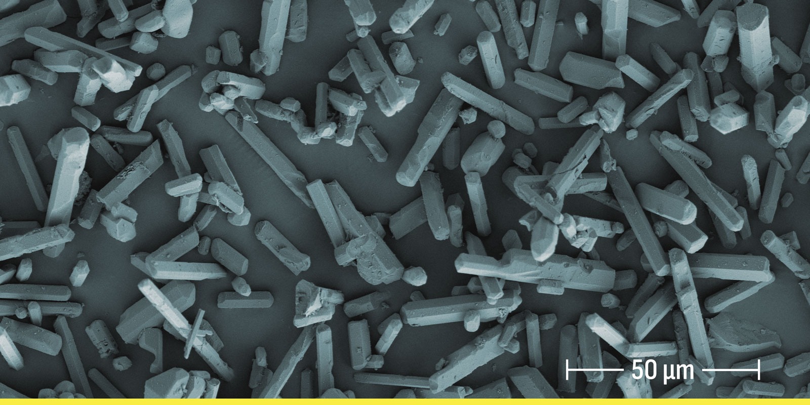 Hydroxyapatite Whiskers 244