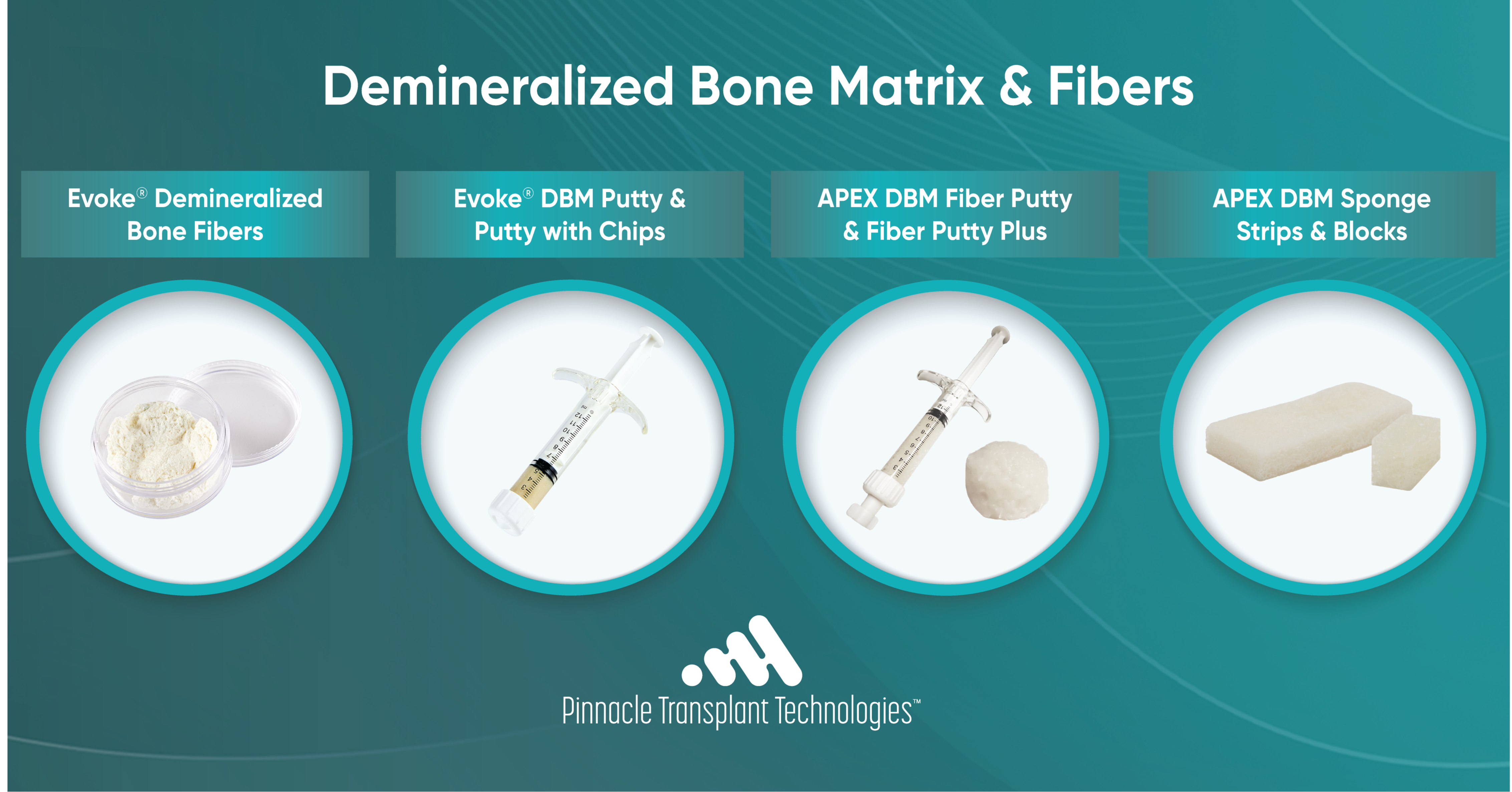 Demineralized Bone Matrix & Fibers 70