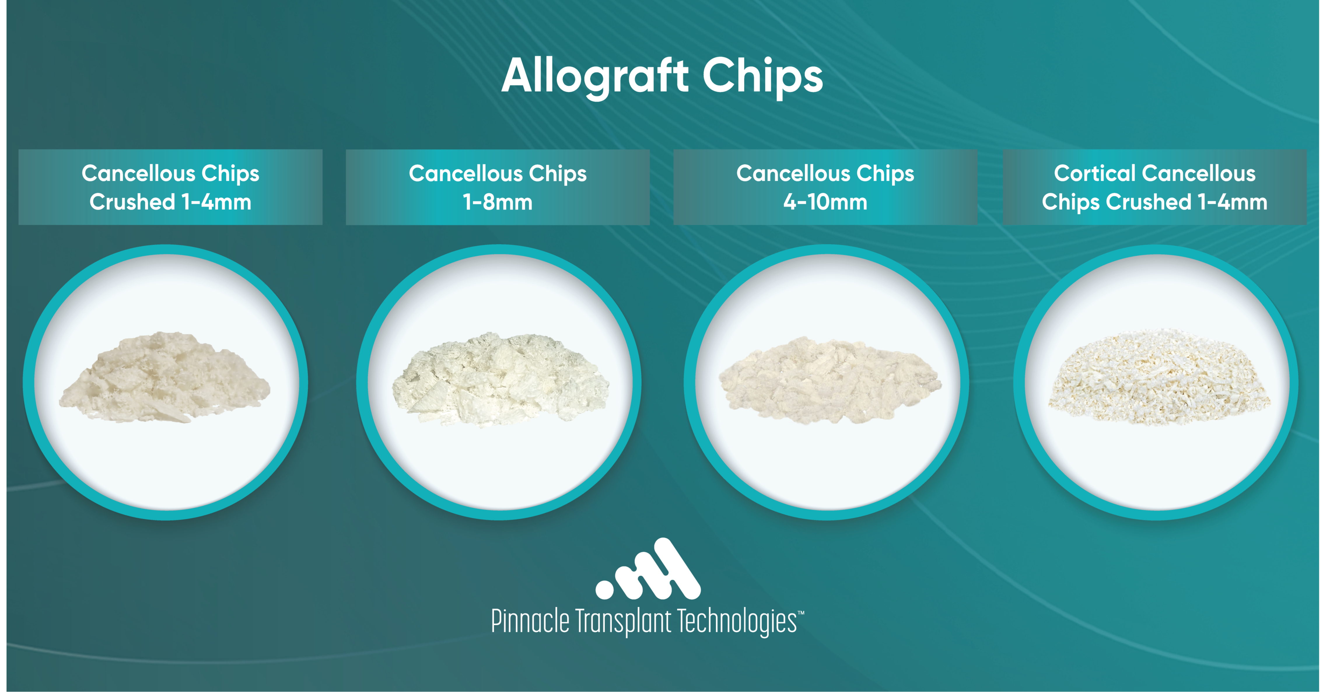 Allograft Chips 71