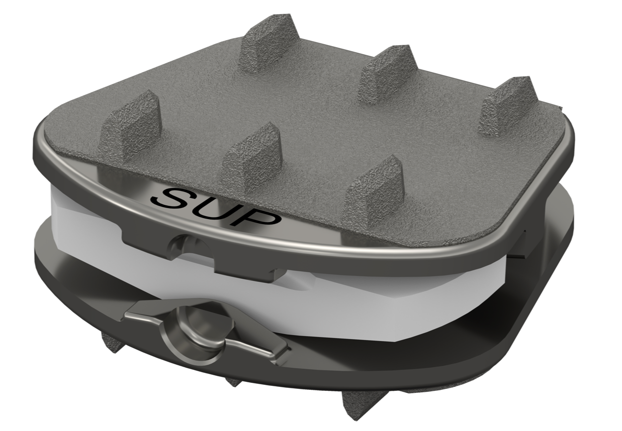 Synergy Disc® 79