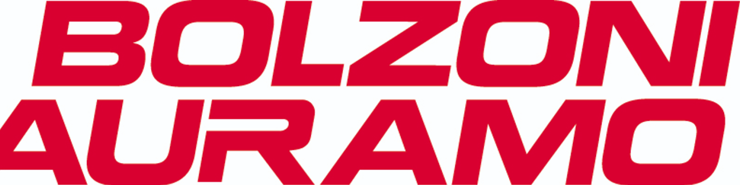 Bolzoni Auramo Inc. 153