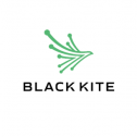 Black Kite 91